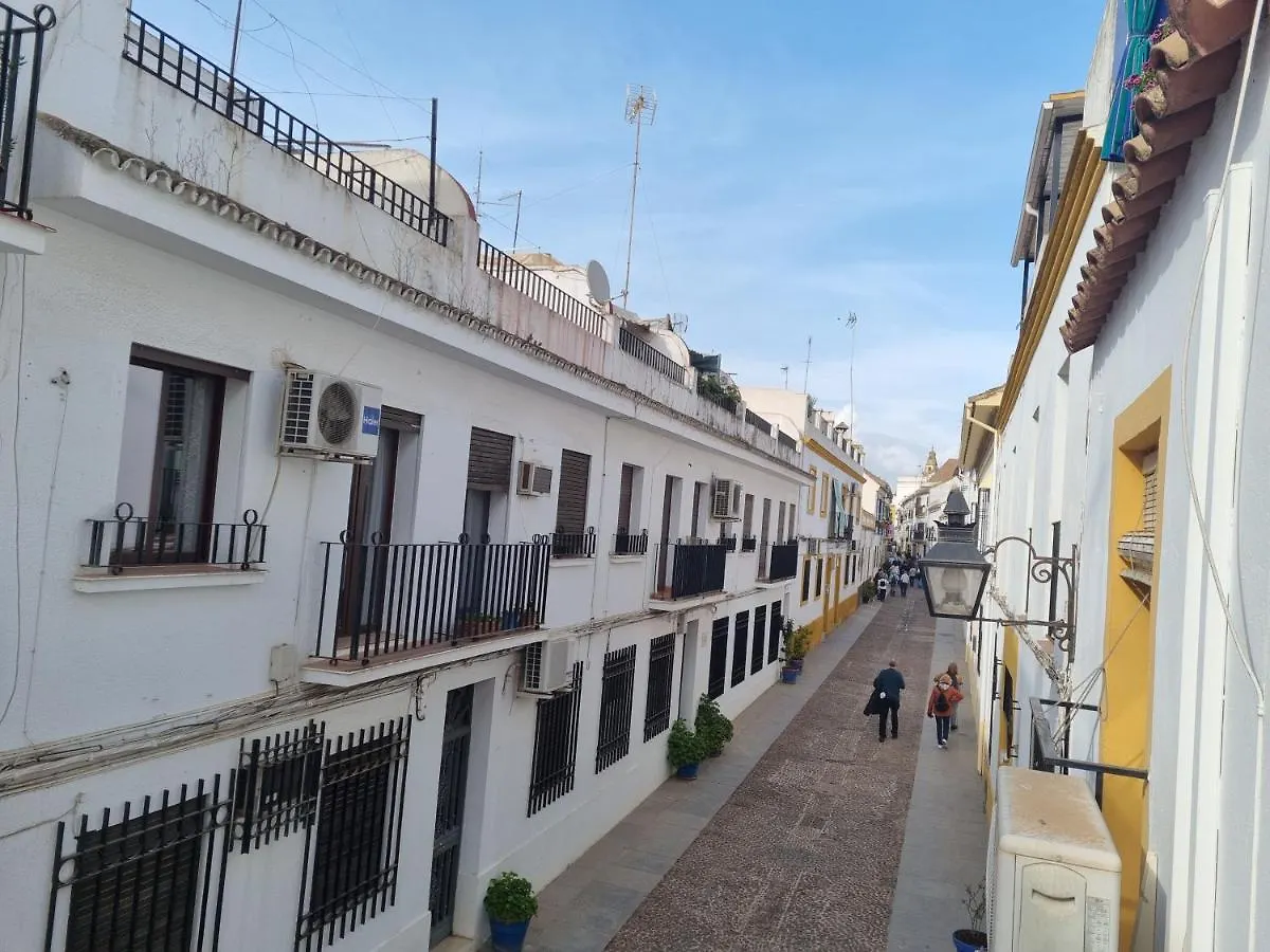 Apartamentos El Alcazar Viejo  Córdoba